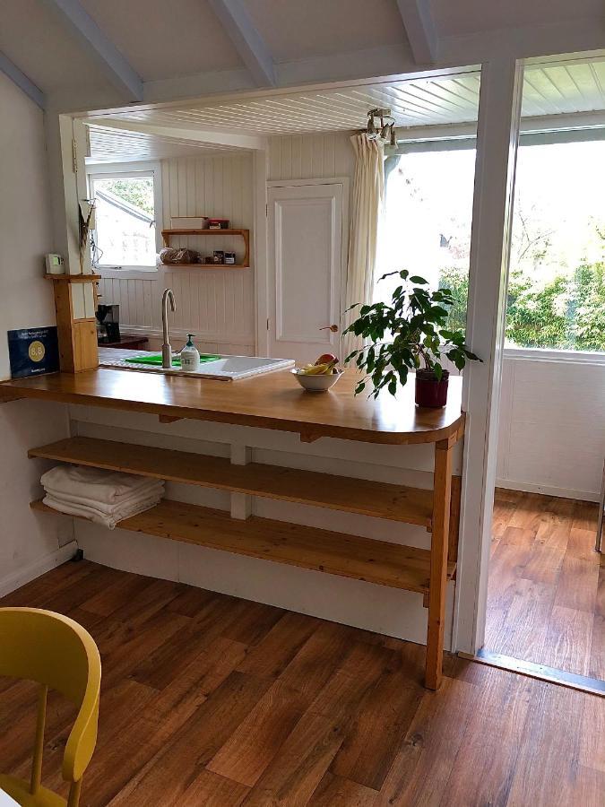 Apartament Juria Zonlicht Renesse Zewnętrze zdjęcie