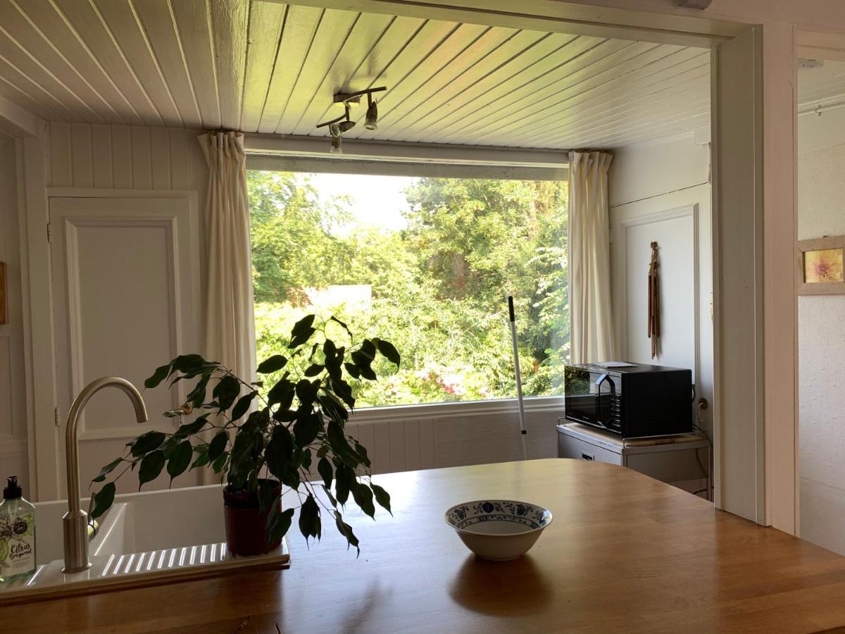 Apartament Juria Zonlicht Renesse Zewnętrze zdjęcie